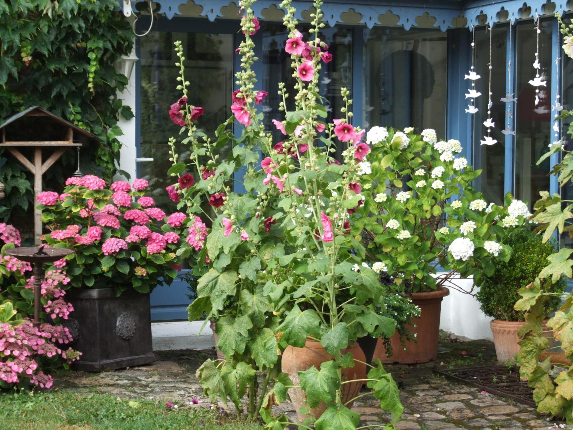 Les Glycines Bed & Breakfast Ury Exterior photo